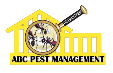 Pest control services